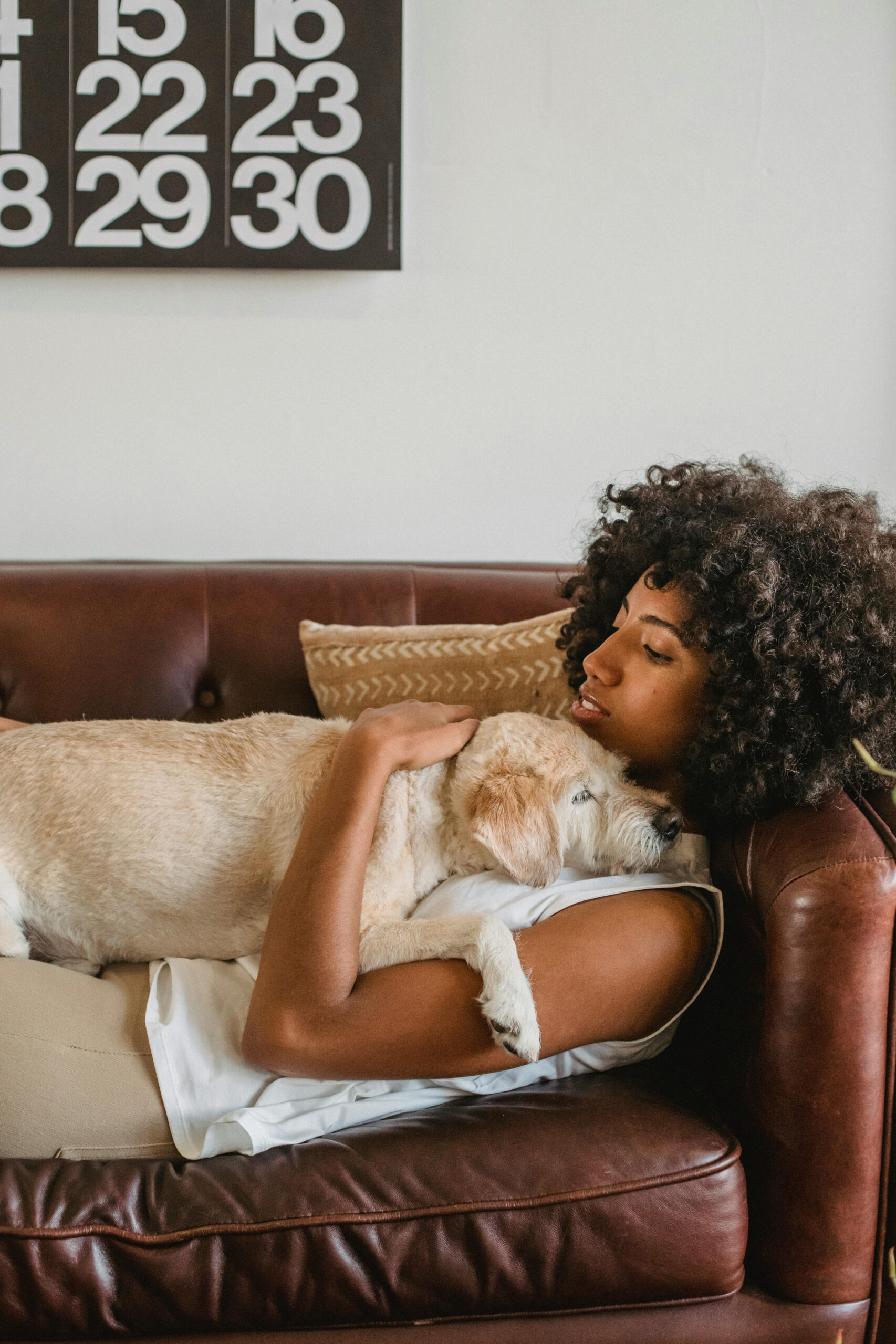 A person relaxing on a sofa while holding a dog.